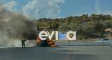Φωτιά, Ελευσίνας [εικόνες],fotia, elefsinas [eikones]