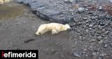 Πολική, 2016, Ισλανδία –,poliki, 2016, islandia –