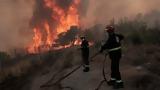 25 αγροτοδασικές πυρκαγιές το τελευταίο εικοσιτετράωρο,
