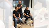 Μήνας, Σεπτέμβριος, MSD,minas, septemvrios, MSD