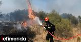 Φωτιά, Ξυλόκαστρο Κορινθίας -Σηκώθηκαν,fotia, xylokastro korinthias -sikothikan