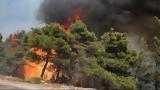 Ανεξέλεγκτη, Ροζενά Κορινθίας,anexelegkti, rozena korinthias