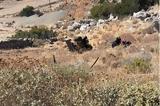 Ρέθυμνο, Διασωληνωμένος, ΜΕΘ, 20χρονος, – Θρήνος, 19χρονο,rethymno, diasolinomenos, meth, 20chronos, – thrinos, 19chrono