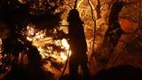 Φωτιά, Μάνη Λακωνίας - Συναγερμός, Πυροσβεστική,fotia, mani lakonias - synagermos, pyrosvestiki