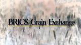 BRICS Grain Exchange,