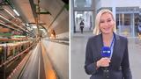 CERN, – Αποστολή ΕΡΤNews, Γενεύη,CERN, – apostoli ertNews, genevi