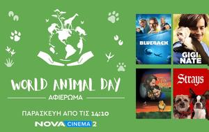 Nova, Τρίαμοναδικάαφιερώματασε Sandra Hüller World Animal Day World War II, Novacinema2, Nova, triamonadikaafieromatase Sandra Hüller World Animal Day World War II, Novacinema2