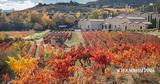 Bodega Marqués, Murrieta, Ριόχα,Bodega Marqués, Murrieta, riocha