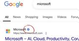 Google,Google Search