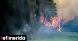 Wildfire Ravages Geraki Ilia Firefighter Injured,