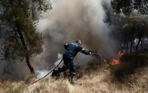 Φωτιά, Ηλεία, Καλύτερη, Γεράκι –, fotia, ileia, kalyteri, geraki –