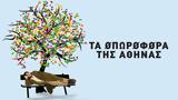 Fruit Trees,Athens