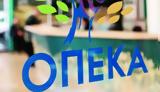 Πρόγραμμα ΟΠΕΚΑ, Σήμερα, 66 978, -Ποιους,programma opeka, simera, 66 978, -poious