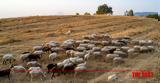 Μειώνονται, Περιφέρεια Δυτικής Ελλάδας,meionontai, perifereia dytikis elladas