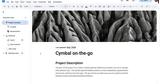 Google Docs,