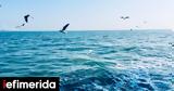 Point Nemo, Γη -Ποιο,Point Nemo, gi -poio