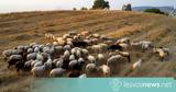 Θετική, Άρση, Βόρειο Αιγαίο,thetiki, arsi, voreio aigaio