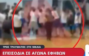 Άγρια, Ιωνικός Νικαίας - Δραπετσώνα, ΕΣΚΑΝΑ, agria, ionikos nikaias - drapetsona, eskana