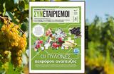 Ειδική, ΣΥΝΕΤΑΙΡΙΣΜΟΙ –, ΠΥΛΩΝΕΣ,eidiki, synetairismoi –, pylones