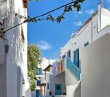 Λαγουβάρδος,lagouvardos