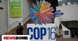 COP16, Σύνοδος, Φύσης -,COP16, synodos, fysis -