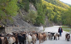 Ανησυχία, Αγροτικής Ανάπτυξης, anisychia, agrotikis anaptyxis