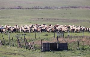 Κατέσφαξαν 100, Λασίθι, katesfaxan 100, lasithi