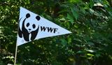 ΕΤΕπ, Χρηματοδοτική, WWF,etep, chrimatodotiki, WWF