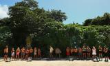 Survivor, Ένταση,Survivor, entasi