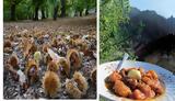Συνταγή, Πατάτες, – Χαμηλή,syntagi, patates, – chamili