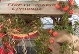 Ερμιόνη, 13η,ermioni, 13i