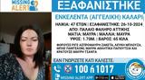 Παλαιό Φάληρο, Συναγερμός, 47χρονης – ΦΩΤΟ,palaio faliro, synagermos, 47chronis – foto