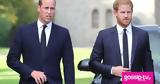 Diddy, William,Harry -