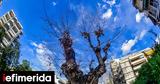 Νοέμβριος -Ο, Κολλυδά, 611,noemvrios -o, kollyda, 611