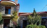 Μαζική, Φλώρινα, Εκτός ΜΕΘ, 55χρονος,maziki, florina, ektos meth, 55chronos