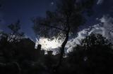 Κλέαρχος Μαρουσάκης, Αυτός,klearchos marousakis, aftos