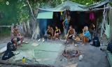 Survivor 611, Τρομερή, Νίνο – Στα…,Survivor 611, tromeri, nino – sta…