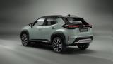 B-SUV, Toyota,22176