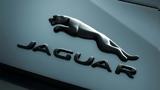 Jaguar,