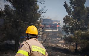 Παρέμβαση Αρείου Πάγου, paremvasi areiou pagou