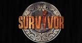 Survivor,Eurovision