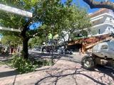 Σήμερα, Ναυπακτία,simera, nafpaktia