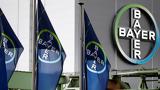 Bayer,