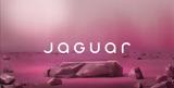 Jaguar,