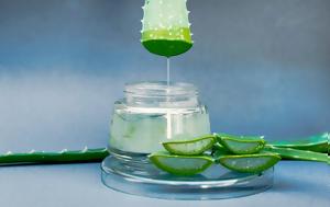 Aloe Vera, Επιστημονική, Aloe Vera, epistimoniki