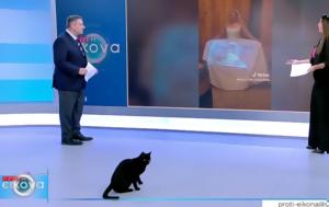 Ρίκο, riko