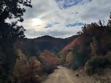 Καιρός 28112024, Βροχές, Ιόνιο –, Κελσίου,kairos 28112024, vroches, ionio –, kelsiou