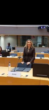 Συμβούλιο Γενικών Υποθέσεων – Σύνοδος Υπουργών Συνοχής, Ποια,symvoulio genikon ypotheseon – synodos ypourgon synochis, poia