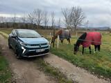 Renault, Οδηγούμε, SUV Symbioz Ε-Tech, Βιέννη,Renault, odigoume, SUV Symbioz e-Tech, vienni