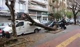 Θεσσαλονίκη, Σαρωτικό, Bora - Πτώσεις, - ΕΙΚΟΝΕΣ,thessaloniki, sarotiko, Bora - ptoseis, - eikones